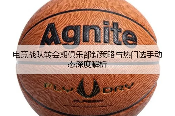 电竞战队转会期俱乐部新策略与热门选手动态深度解析